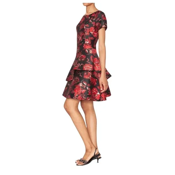 New Shani Women's Jacquard Boat Neck Tiered Dress size 16 Fit and Flare Regency - Picture 2 of 16